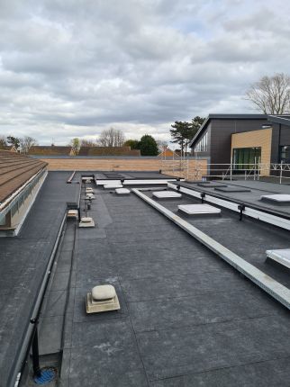 Click Here To Enlarge