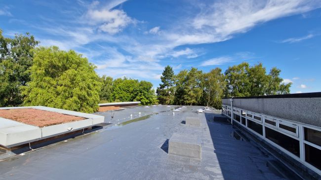 Click Here To Enlarge